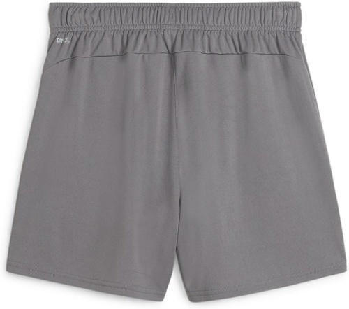 PUMA-teamGOAL Handball Shorts W-1