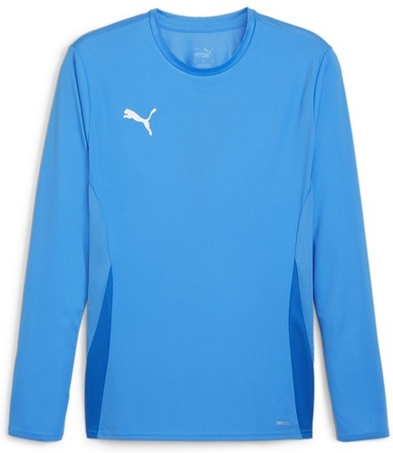 PUMA-teamGOAL LS Jersey-0