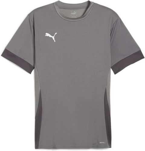 PUMA-teamGOAL Matchday  Jersey-0