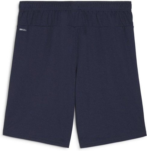 PUMA-teamGOAL Shorts-1