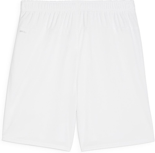 PUMA-Teamgoal Pantaloncini-1