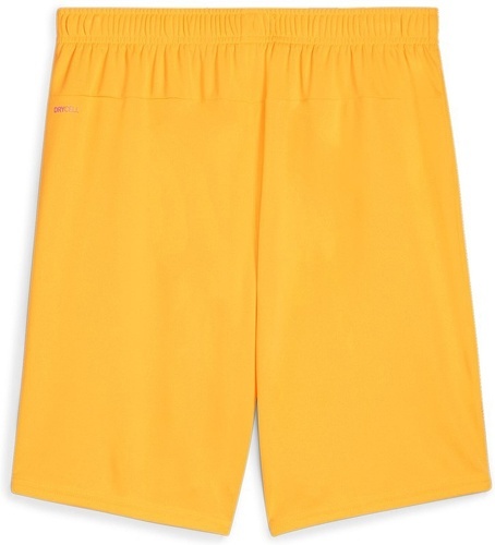 PUMA-teamGOAL Shorts-1