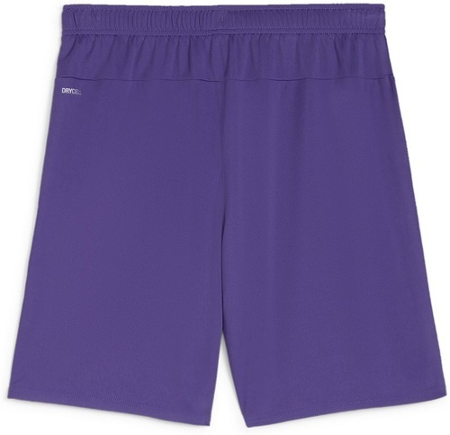 PUMA-teamGOAL Shorts-1