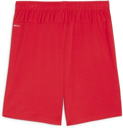 PUMA-teamGOAL Shorts-1