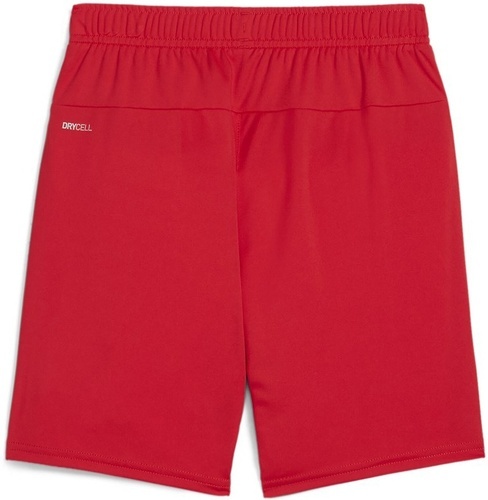 PUMA-teamGOAL Shorts Jr-1