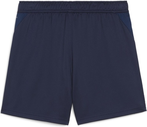 PUMA-teamGOAL Training Short Wmn-1