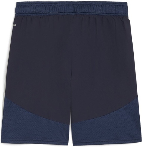 PUMA-teamFINAL Shorts-1