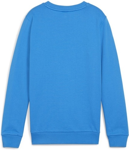 PUMA-teamGOAL Casuals Crew Neck Sweat Jr-1