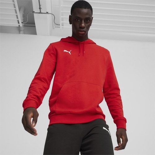 PUMA-Sweatshirt à capuche Puma Teamgoal Casuals-2