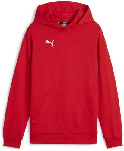 PUMA-teamGOAL Casuals Hoody Jr-0