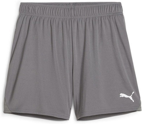 PUMA-teamGOAL Handball Shorts W-0