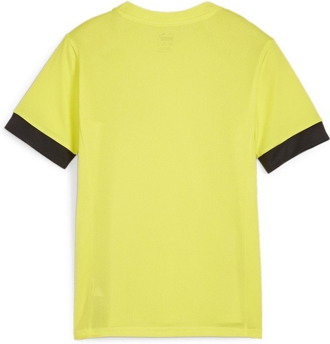 PUMA-teamGOAL Matchday Jersey jr-1