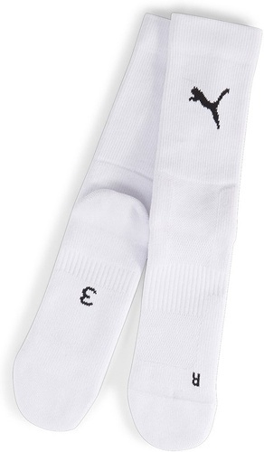 PUMA-teamGOAL Performance Sock-0