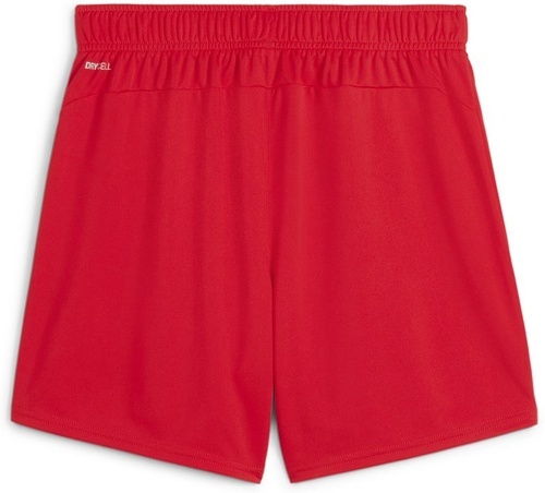 PUMA-teamGOAL Shorts Wmns-1