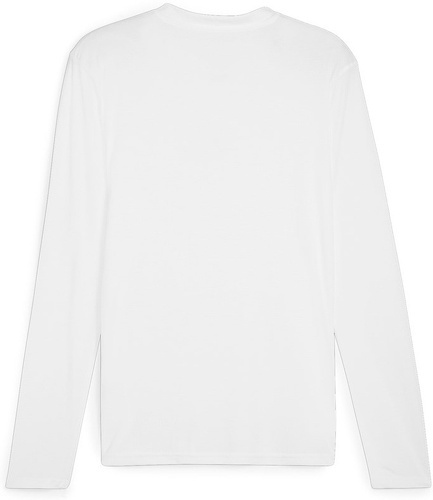 PUMA-teamGOAL Baselayer Tee LS-1