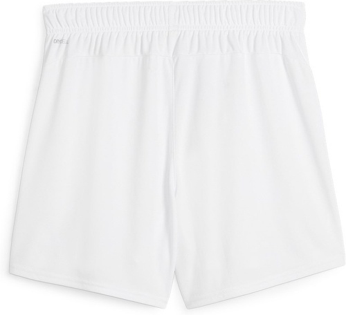 PUMA-teamGOAL Handball Shorts W-1