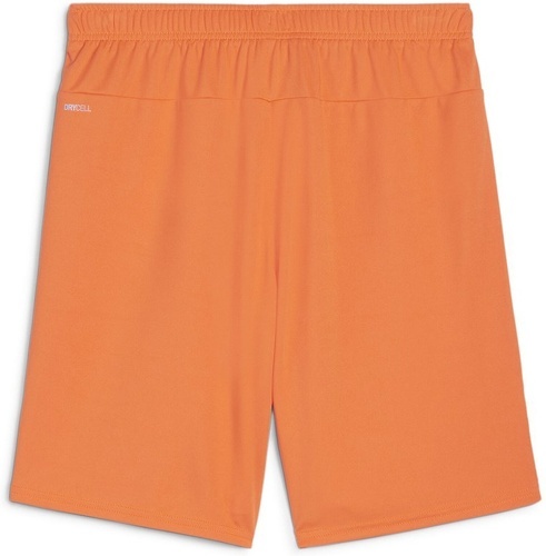 PUMA-teamGOAL Shorts-1