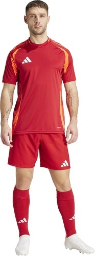 adidas Performance-Short Tiro 24 Competition Match-4