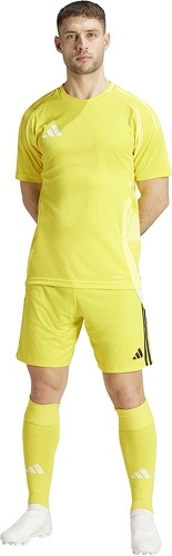 adidas Performance-Short Tiro 24-4