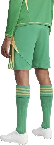 adidas Performance-Short Tiro 24-2