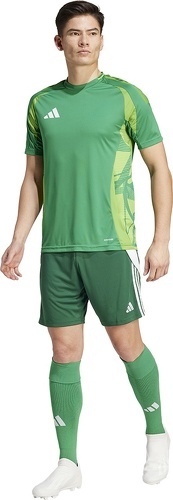 adidas Performance-Pantaloncini Tiro 24-3