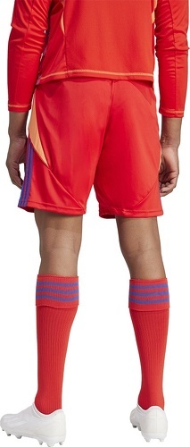 adidas Performance-Short Tiro 24-3