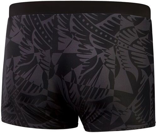 Speedo-Short de bain eco valmilton nature aqsh-2