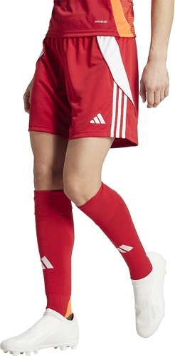 adidas Performance-Pantaloncini Tiro 24-2