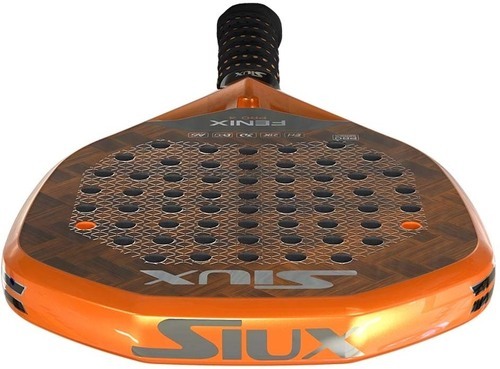 Siux-Fenix 4 Pro-2