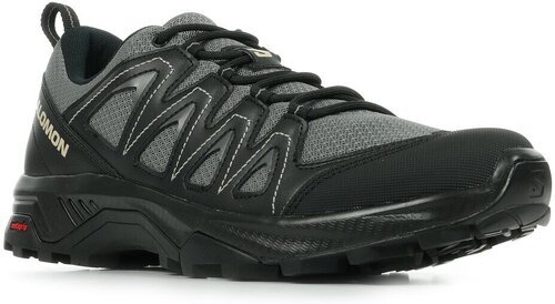 SALOMON-X Braze-1