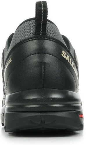 SALOMON-X Braze-4