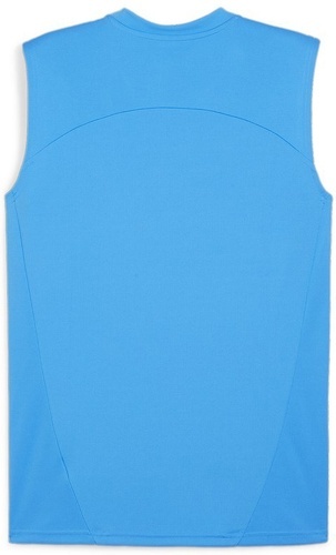 PUMA-teamFINAL Training Jersey SL-1