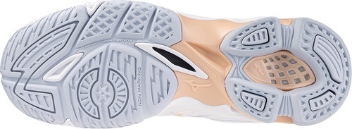 MIZUNO-Wave Voltage-1