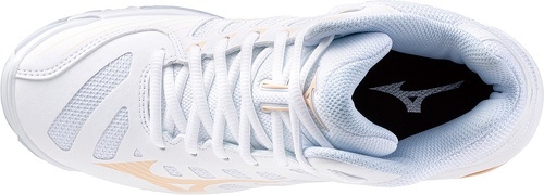 MIZUNO-Wave Voltage-3