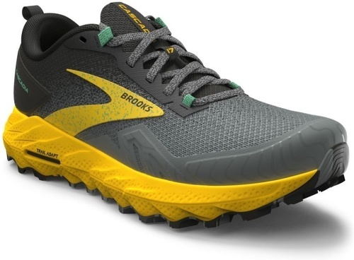 Brooks-Brooks Cascadia 17-1