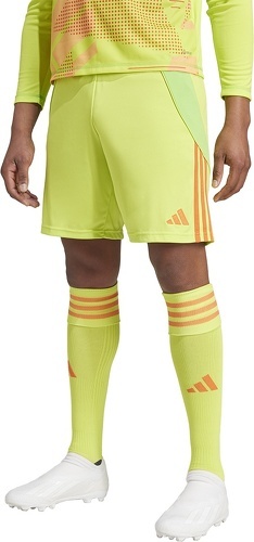 adidas Performance-Short Tiro 24-1