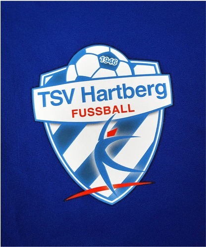 adidas-TSV Hartberg short domicile 2022/2023-3