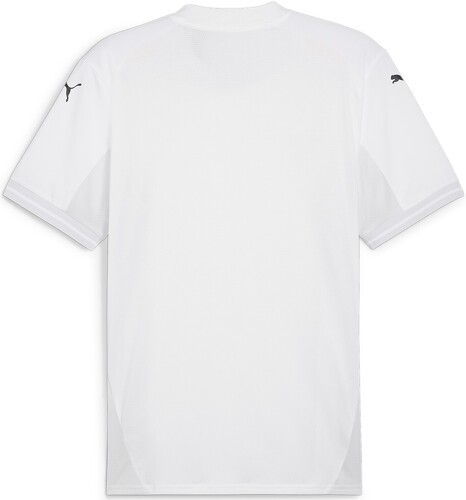 PUMA-teamFINAL Jersey-2