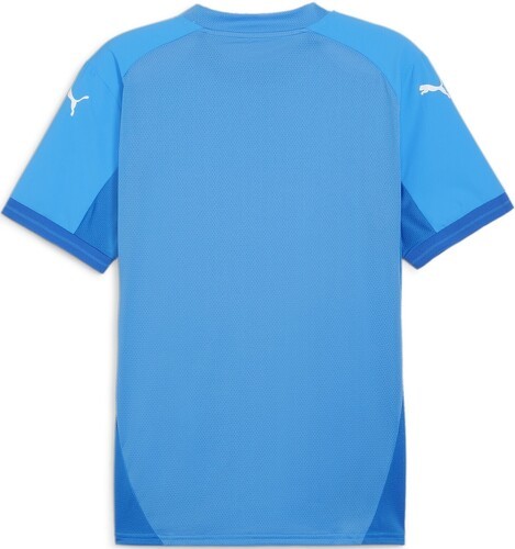 PUMA-teamFINAL Jersey-2