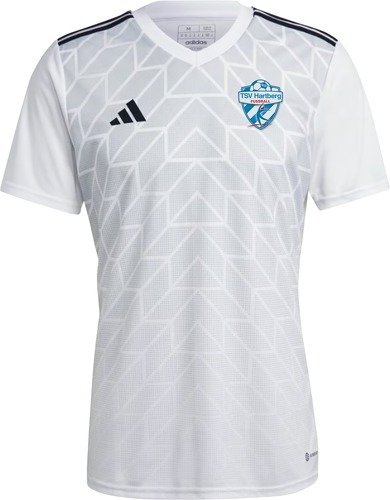 adidas-TSV Hartberg Prematch shirt 2023/2024-image-1