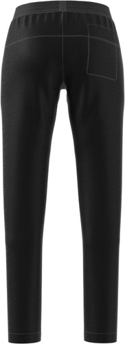 adidas Performance-Pantalon de randonnée Terrex Liteflex-3