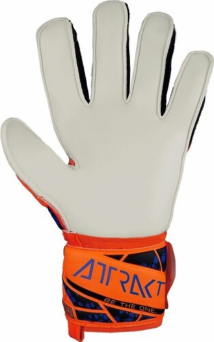 REUSCH-Gants de gardien Reusch Attrakt Solid-2