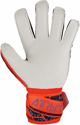 REUSCH-Gants de gardien enfant Reusch Attrakt Solid Finger Support-2