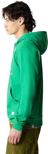 THE NORTH FACE-Pull Berkeley California Hoddie Optic Emerald-2