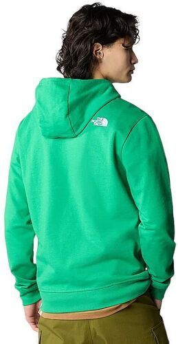 THE NORTH FACE-Pull Berkeley California Hoddie Optic Emerald-4