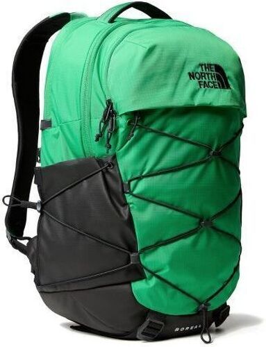 THE NORTH FACE--image-1