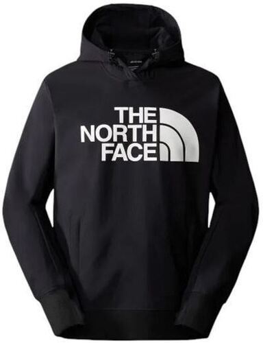 THE NORTH FACE-M TEKNO LOGO HOODIE-image-1
