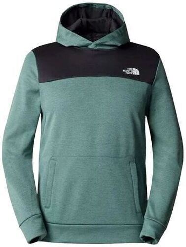 THE NORTH FACE-Sweats et polaires THE NORTH FACE REAXION FL PO HD-image-1