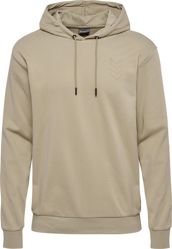 HUMMEL-Hmlactive Co Hoodie-2