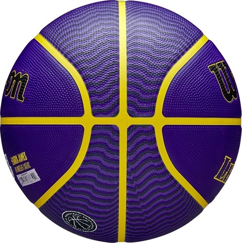 WILSON-Wilson Nba Player Icon Lebron James Outdoor Ball-3